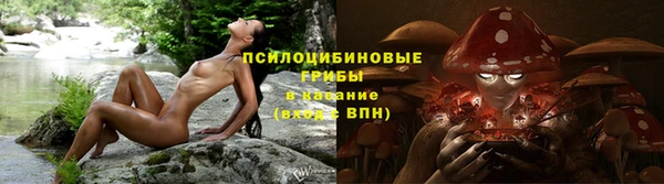 прущие крисы Богданович