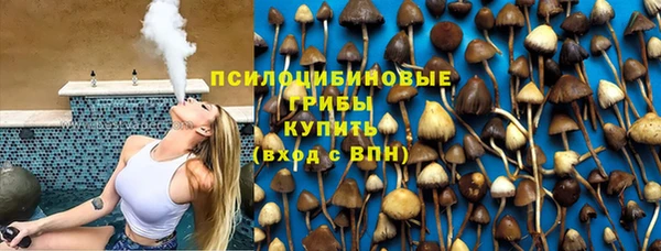 прущие крисы Богданович