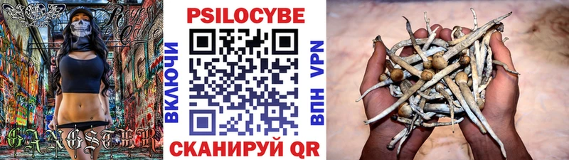Псилоцибиновые грибы ЛСД  Кочубеевское 